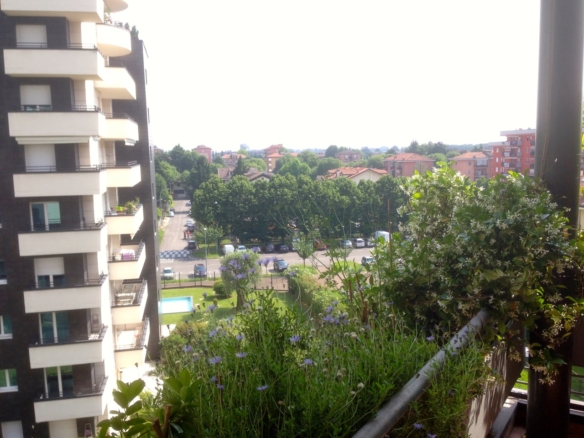 2 locali con terrazzo, Cernusco sul Naviglio