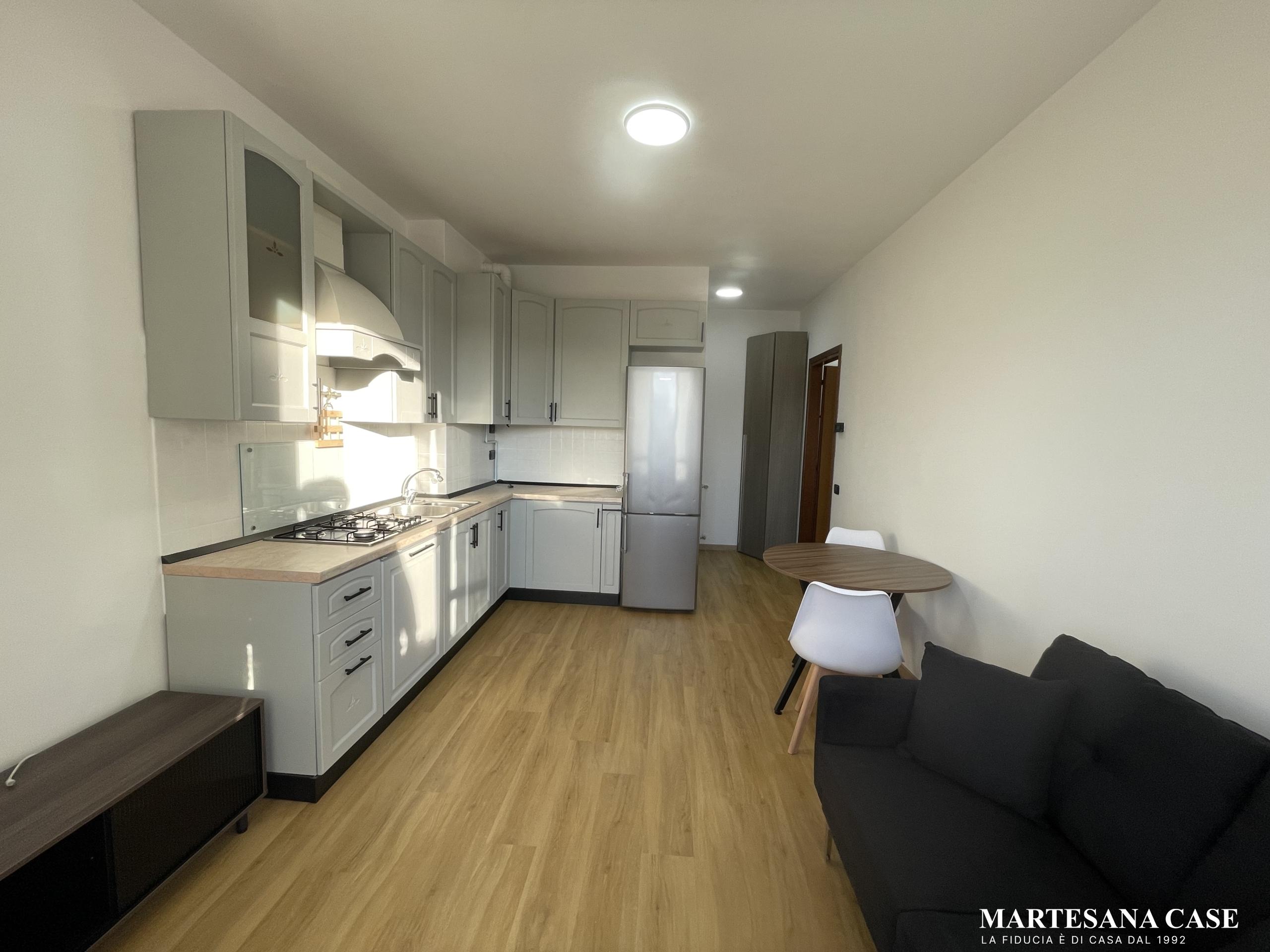 Bilocale arredato con ampio terrazzo di 50 mq – Carugate